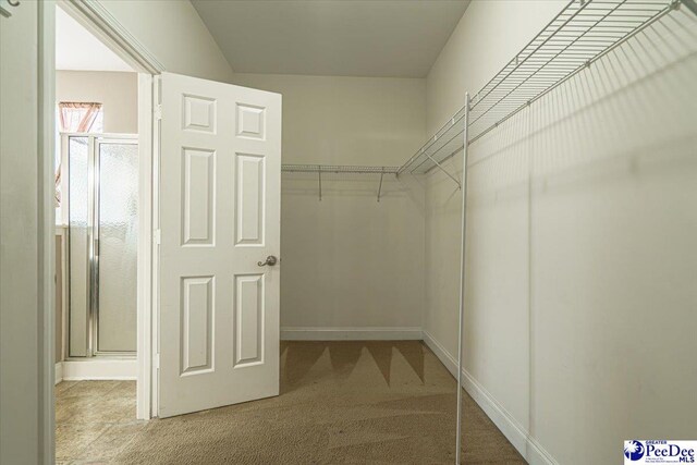 spacious closet with light colored carpet