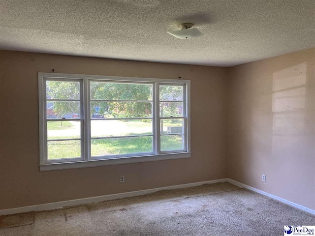 empty room with carpet flooring and a textured ceiling