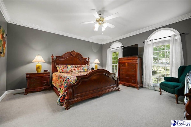 801 W Shirley Rd, Pamplico, SC 29583 - photo 33