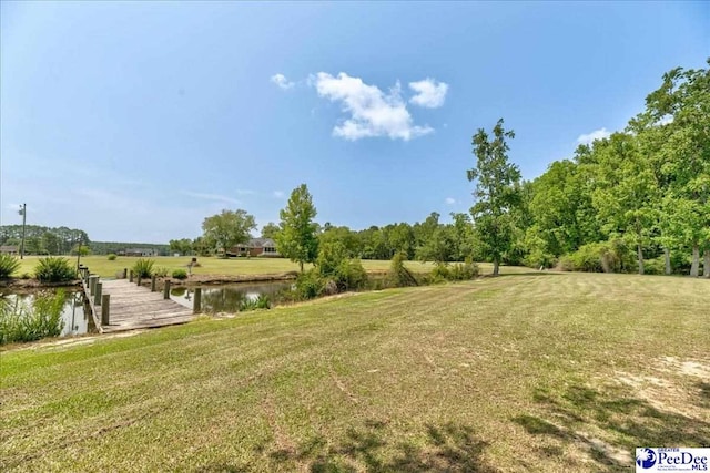 801 W Shirley Rd, Pamplico, SC 29583 - photo 7