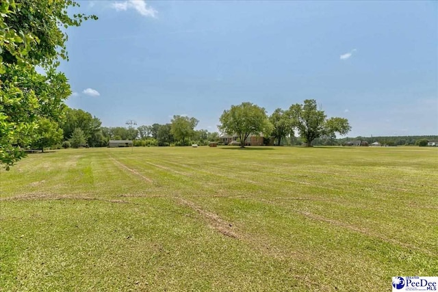 801 W Shirley Rd, Pamplico, SC 29583 - photo 6
