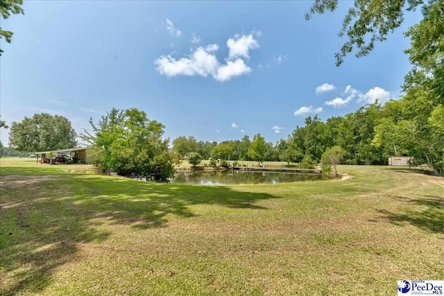 801 W Shirley Rd, Pamplico, SC 29583 - photo 10