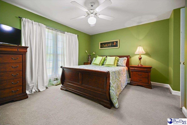 801 W Shirley Rd, Pamplico, SC 29583 - photo 41