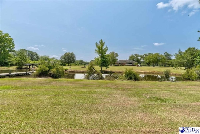 801 W Shirley Rd, Pamplico, SC 29583 - photo 9