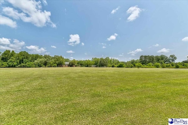 801 W Shirley Rd, Pamplico, SC 29583 - photo 4