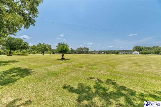801 W Shirley Rd, Pamplico, SC 29583 - photo 13