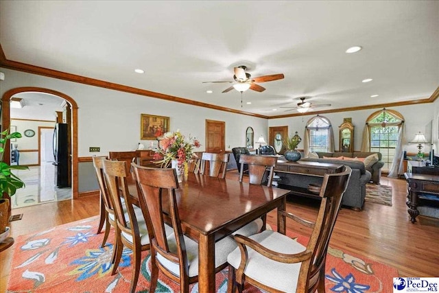 801 W Shirley Rd, Pamplico, SC 29583 - photo 24