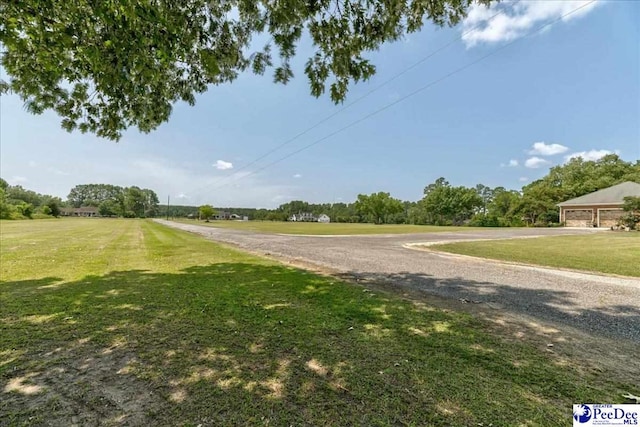 801 W Shirley Rd, Pamplico, SC 29583 - photo 3
