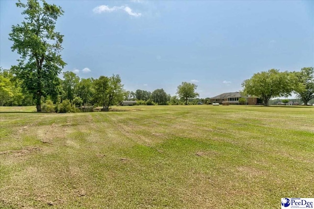 801 W Shirley Rd, Pamplico, SC 29583 - photo 5