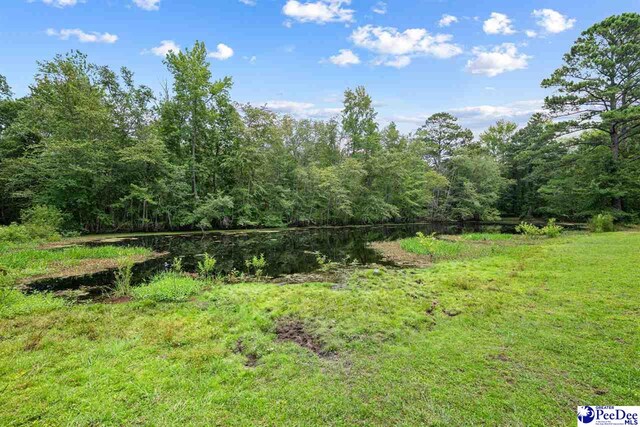 4531 E National Cemetary Rd, Florence, SC 29506 - photo 46