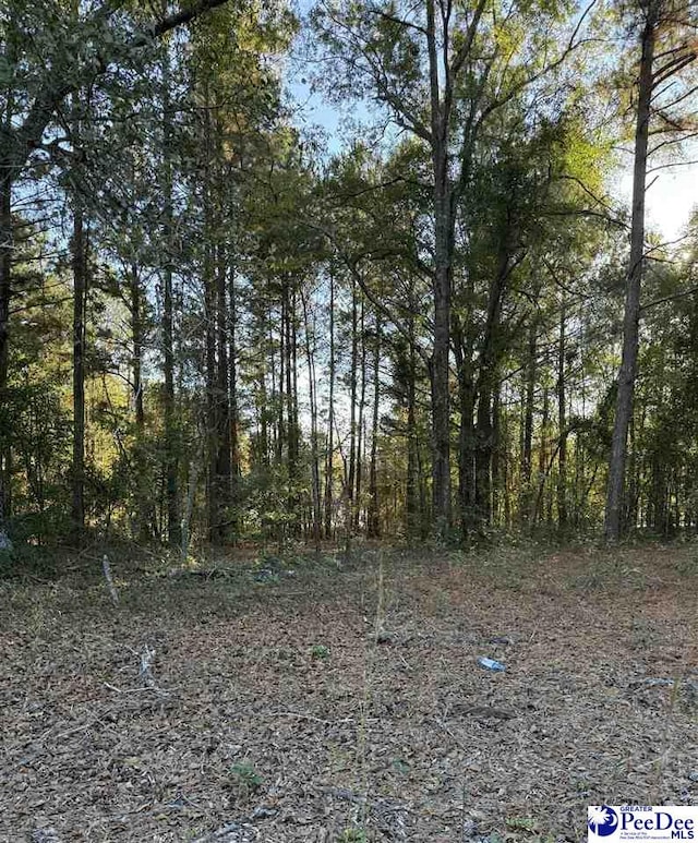 2935 Jackson Rd, Chesterfield SC, 29709 land for sale