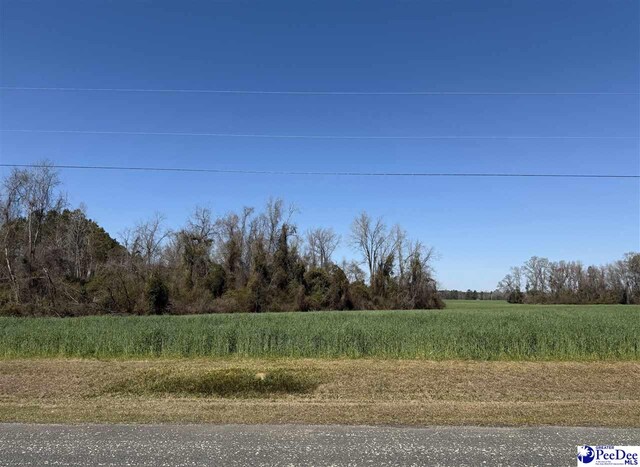 TBD Cameron Road, Lake City, SC 29560 - photo 3