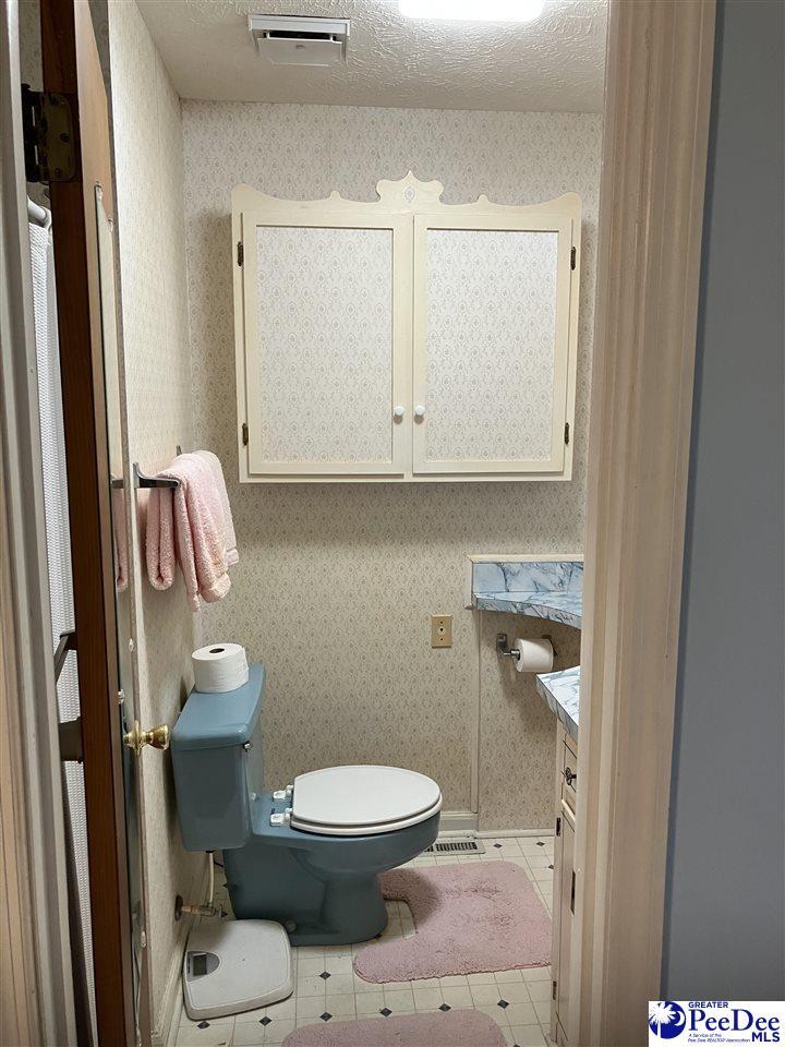 bathroom featuring tile patterned flooring, vanity, a textured ceiling, and toilet