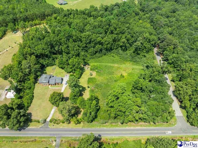 2019 Cale Yarborough Hwy, Timmonsville, SC 29161 - photo 53