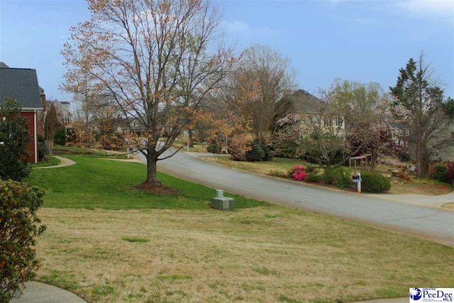 610 Garden Rose Ct, Greer, SC 29651 - view of asphalt road