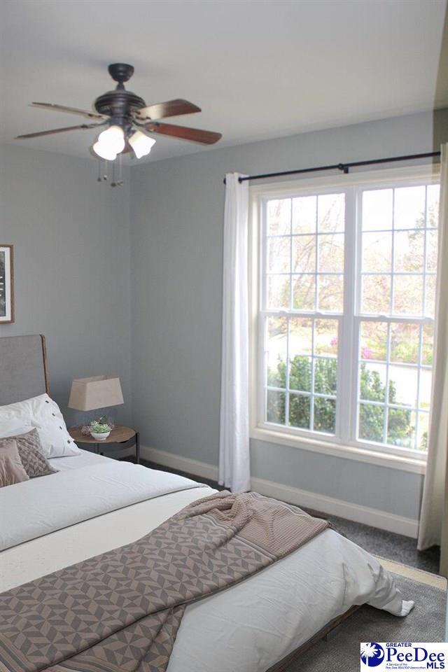610 Garden Rose Ct, Greer, SC 29651 - bedroom featuring multiple windows and a ceiling fan