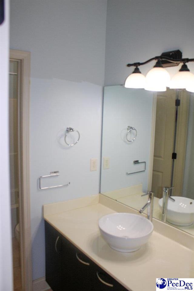 610 Garden Rose Ct, Greer, SC 29651 - bathroom featuring vanity