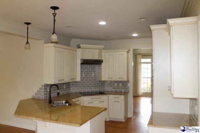 610 Garden Rose Ct, Greer, SC 29651 - kitchen featuring a peninsula, under cabinet range hood, black electric stovetop, backsplash, and ornamental molding
