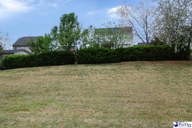 610 Garden Rose Ct, Greer, SC 29651 - view of green lawn