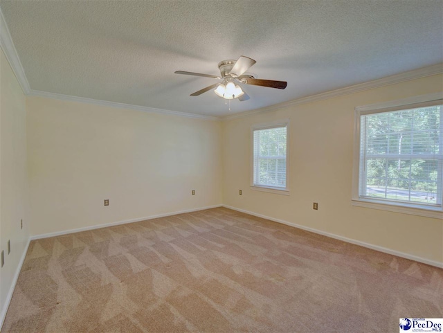 2441 Holly Cir, Darlington, SC 29532 - photo 20