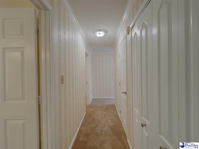 2441 Holly Cir, Darlington, SC 29532 - photo 27