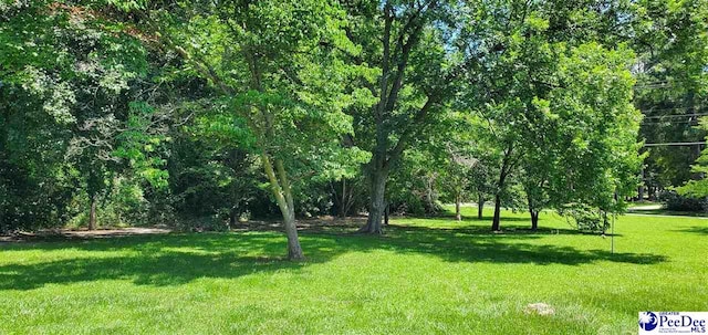 1007 Hamlet Hwy, Bennettsville, SC 29512 - view of green lawn