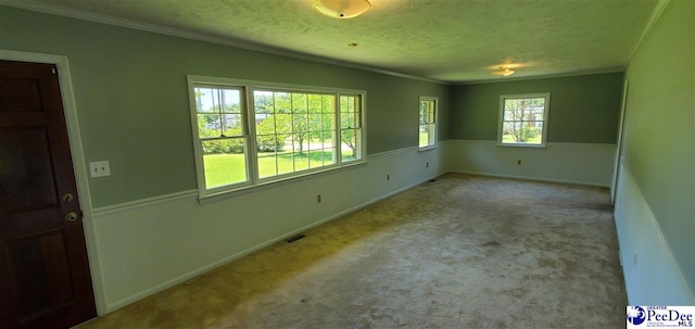1007 Hamlet Hwy, Bennettsville, SC 29512 - spare room featuring a textured ceiling, ornamental molding, and carpet