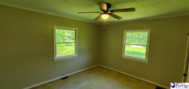 1007 Hamlet Hwy, Bennettsville, SC 29512 - unfurnished room featuring ceiling fan, carpet floors, ornamental molding, and a textured ceiling