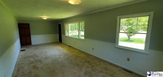 1007 Hamlet Hwy, Bennettsville, SC 29512 - carpeted empty room with crown molding