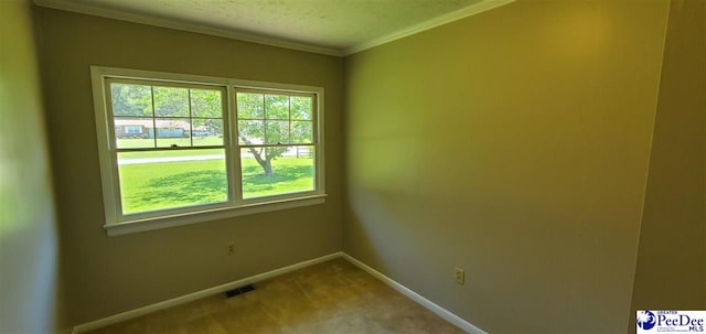 1007 Hamlet Hwy, Bennettsville, SC 29512 - unfurnished room featuring plenty of natural light, ornamental molding, and carpet floors