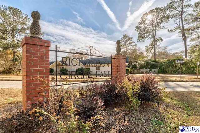 312 E Richardson Cir, Hartsville, SC 29550 - photo 36
