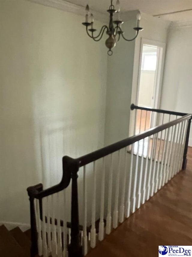 stairway with an inviting chandelier, hardwood / wood-style flooring, and ornamental molding