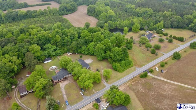 1017 Big Swamp Rd, Pamplico, SC 29583 - aerial view of a heavily wooded area