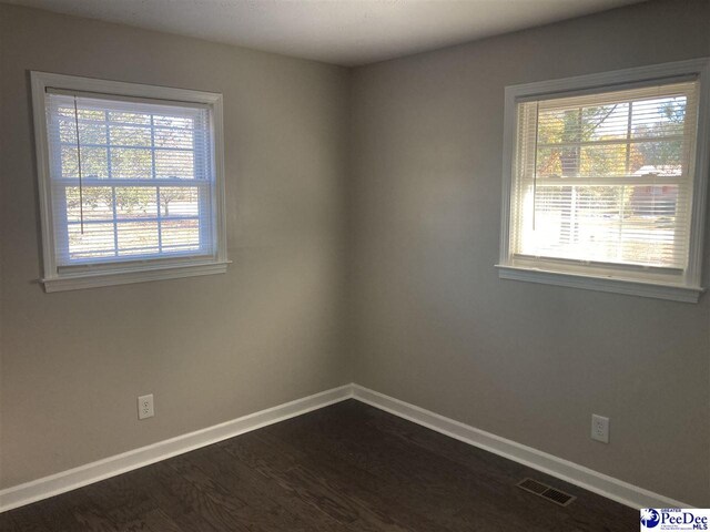 empty room featuring wood-type flooring