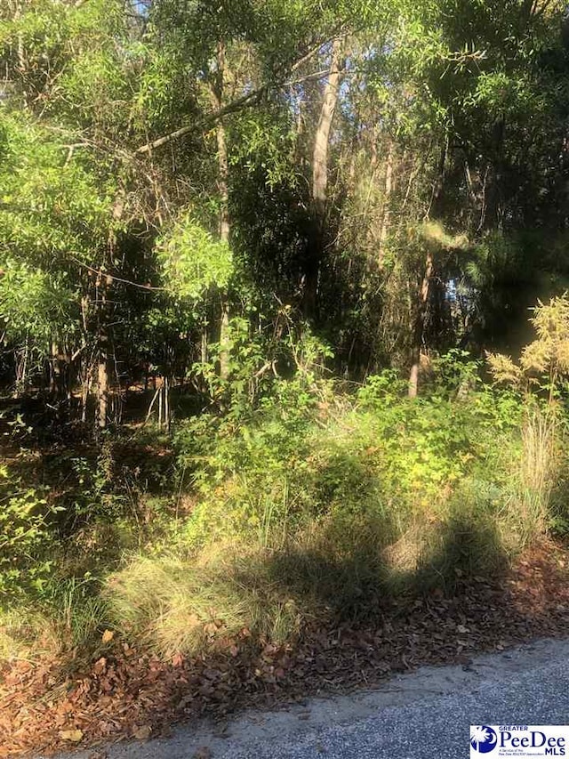 2440 S Robeson Ave, Florence SC, 29505 land for sale