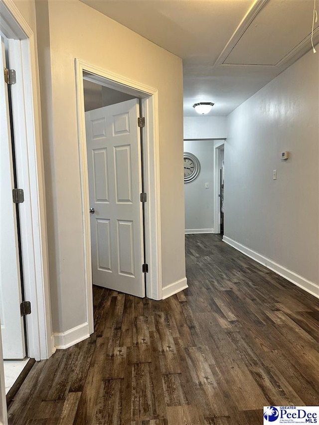 hallway featuring dark hardwood / wood-style floors
