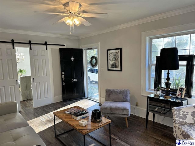 living room with a wealth of natural light, dark wood-type flooring, ornamental molding, and a barn door