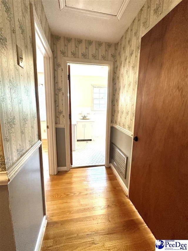 corridor with sink, light hardwood / wood-style flooring, and a textured ceiling