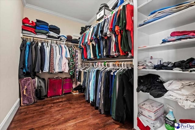 walk in closet with dark wood-style flooring