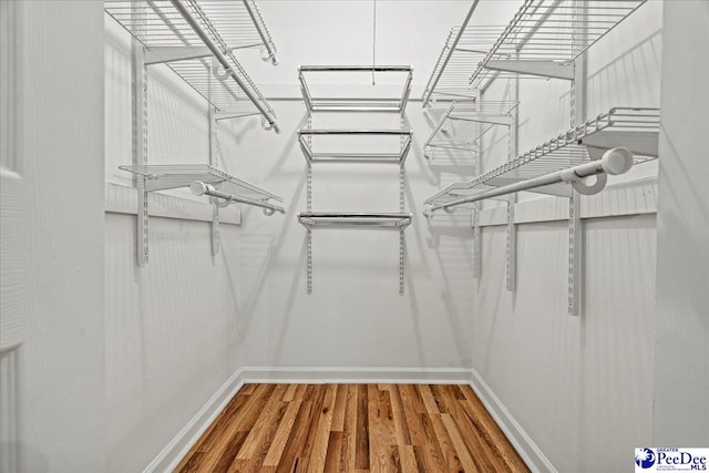 walk in closet with wood finished floors