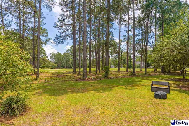 1110 Beechtree Ct, Hartsville, SC 29550 - photo 41