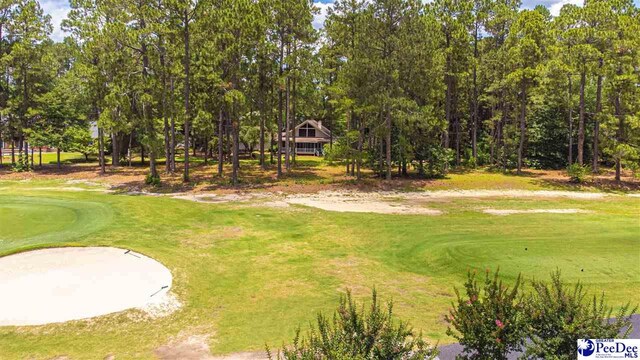 1110 Beechtree Ct, Hartsville, SC 29550 - photo 44