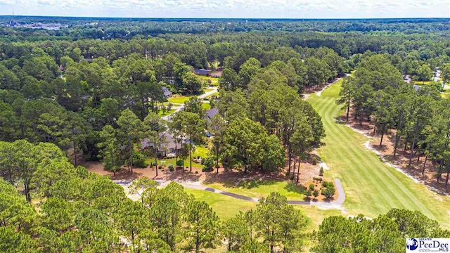 1110 Beechtree Ct, Hartsville, SC 29550 - photo 37