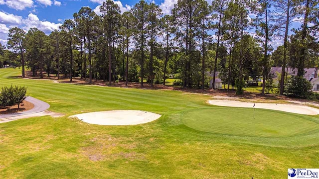 1110 Beechtree Ct, Hartsville, SC 29550 - photo 2