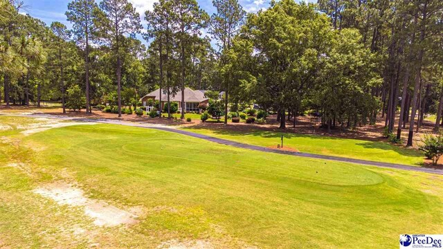 1110 Beechtree Ct, Hartsville, SC 29550 - photo 42