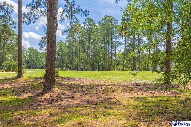 1110 Beechtree Ct, Hartsville, SC 29550 - photo 40