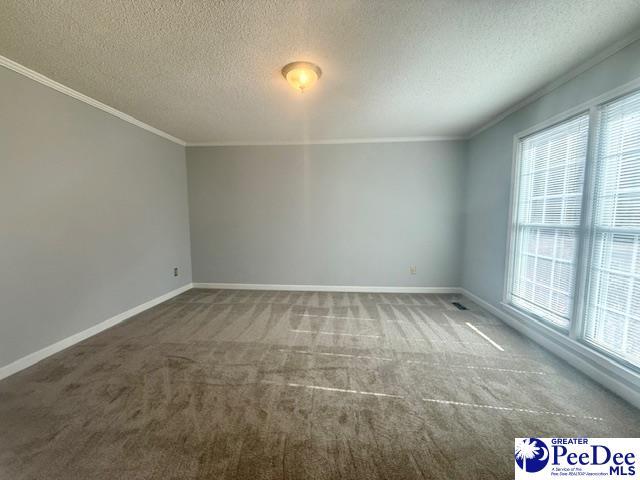 carpeted spare room with crown molding, baseboards, and a wealth of natural light