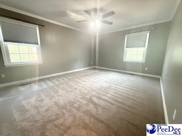 carpeted spare room featuring baseboards, ornamental molding, ceiling fan, and a wealth of natural light