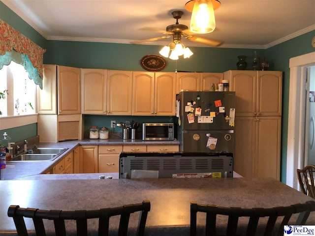 kitchen with black refrigerator, sink, ornamental molding, and ceiling fan