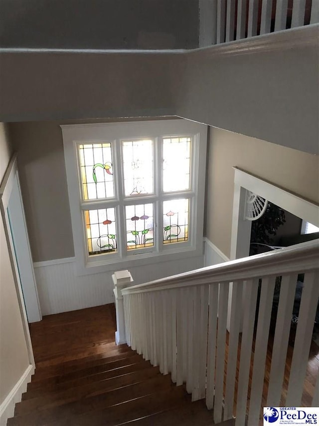 stairway featuring hardwood / wood-style flooring and a wealth of natural light